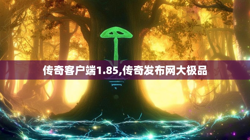 传奇客户端1.85,传奇发布网大极品
