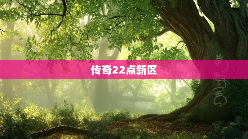 传奇22点新区 传奇22点新区