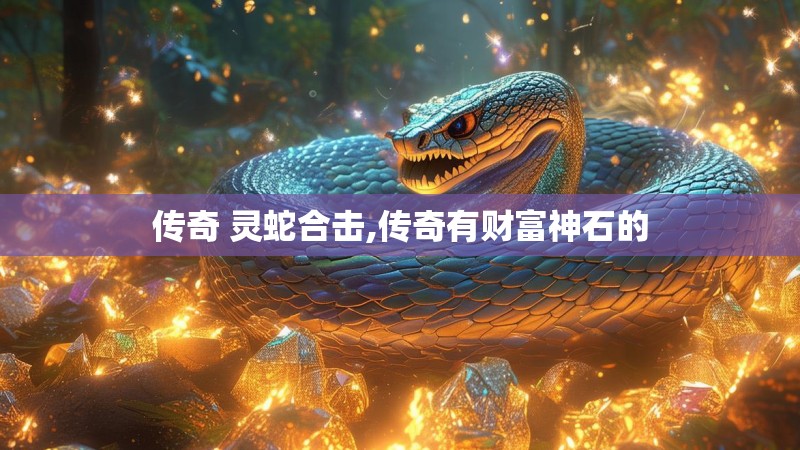 传奇 灵蛇合击,传奇有财富神石的