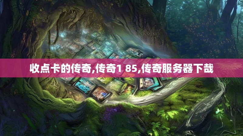 收点卡的传奇,传奇1 85,传奇服务器下哉