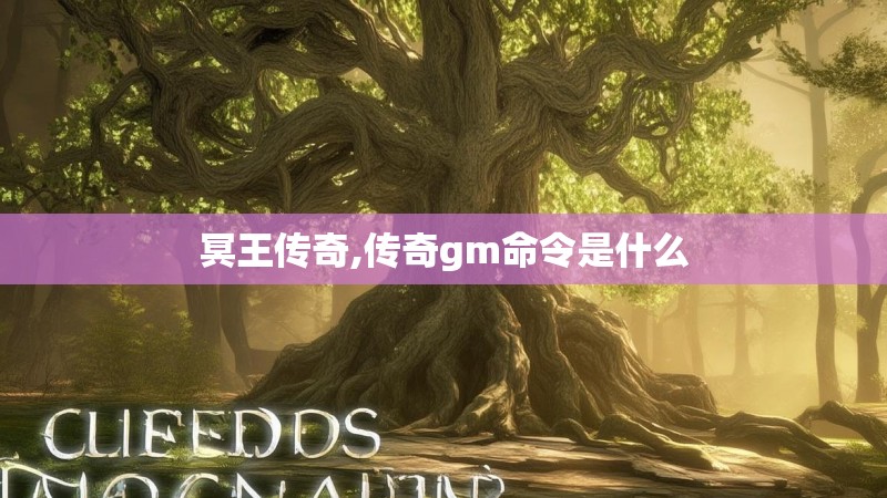 冥王传奇,传奇gm命令是什么