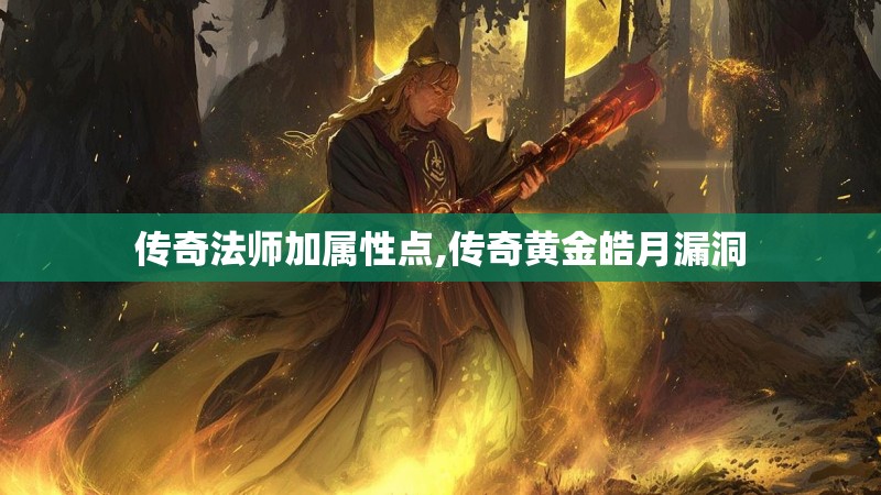 传奇法师加属性点,传奇黄金皓月漏洞