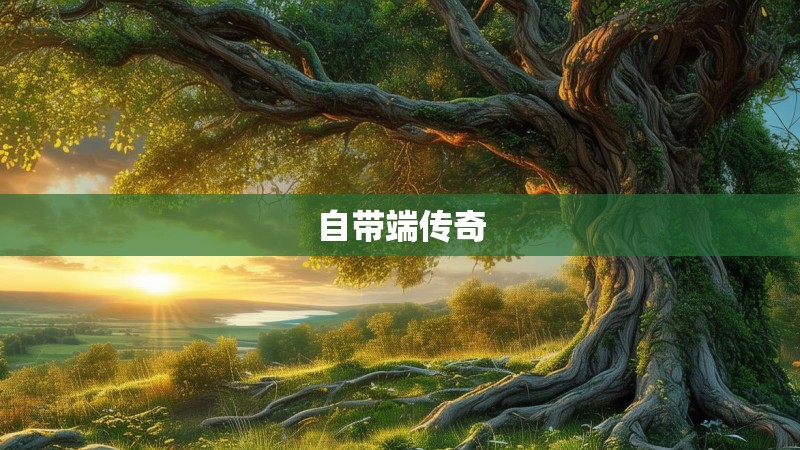 自带端传奇