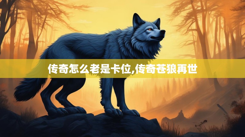 传奇怎么老是卡位,传奇苍狼再世