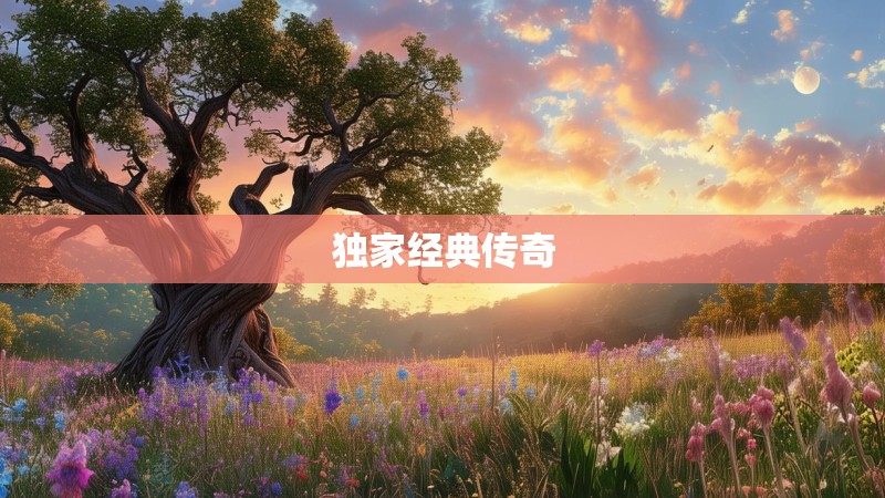 独家经典传奇