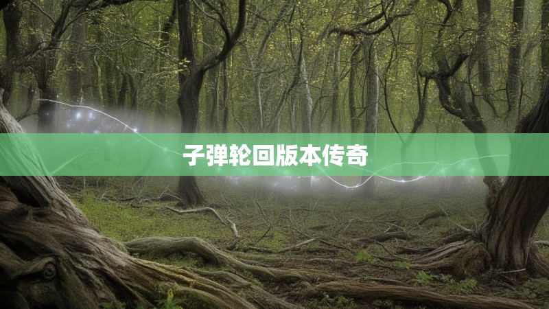 子弹轮回版本传奇