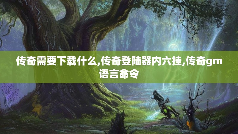 传奇需要下载什么,传奇登陆器内六挂,传奇gm语言命令