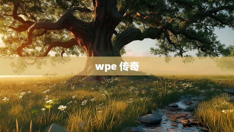 wpe 传奇