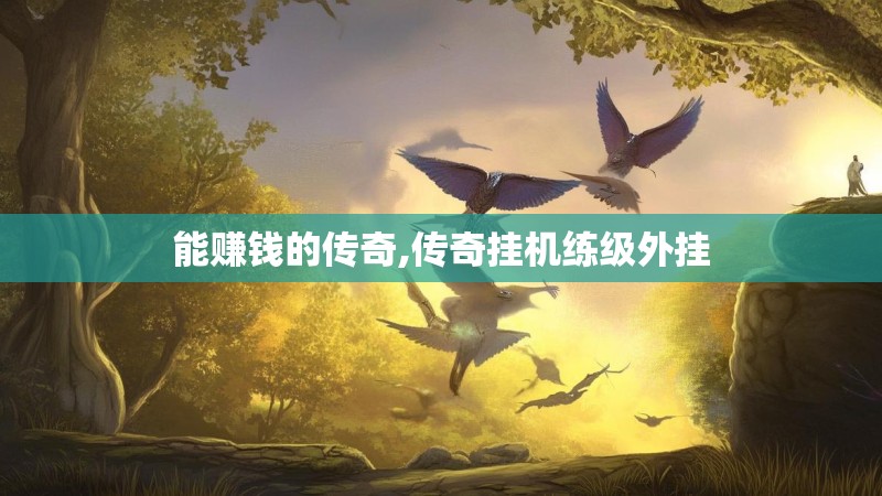 能赚钱的传奇,传奇挂机练级外挂