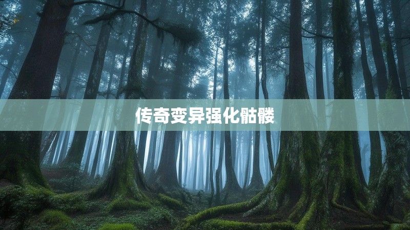 传奇变异强化骷髅