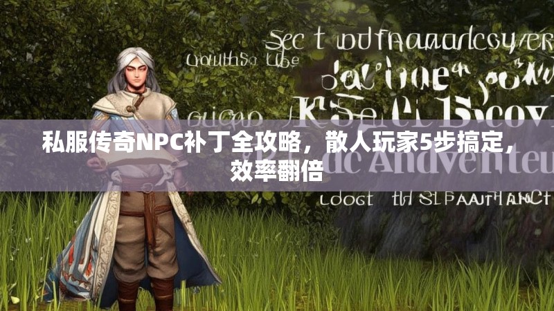 私服传奇NPC补丁全攻略，散人玩家5步搞定，效率翻倍