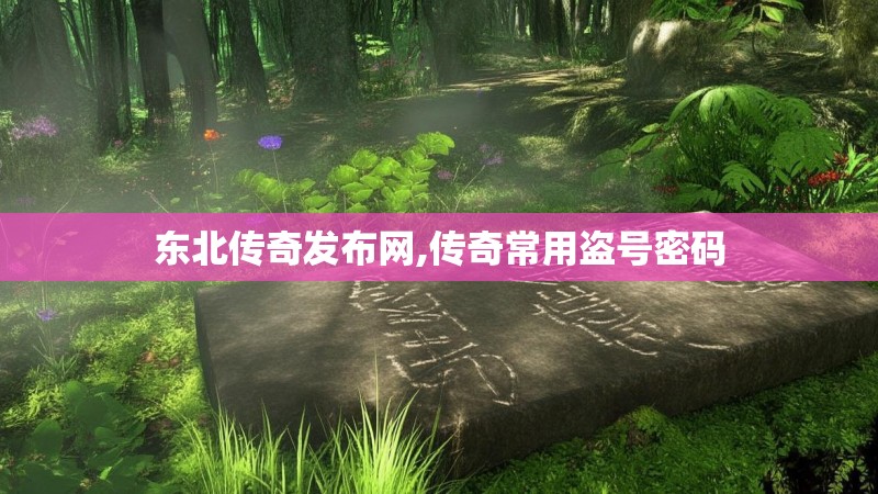 东北传奇发布网,传奇常用盗号密码