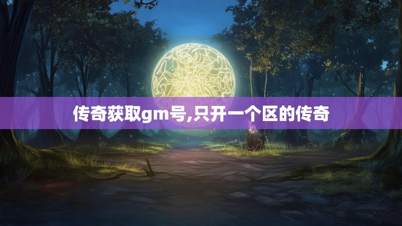 传奇获取gm号,只开一个区的传奇