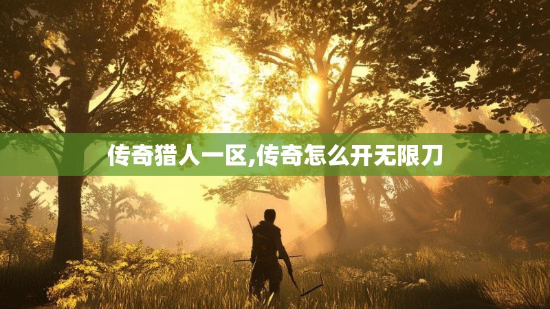传奇猎人一区,传奇怎么开无限刀