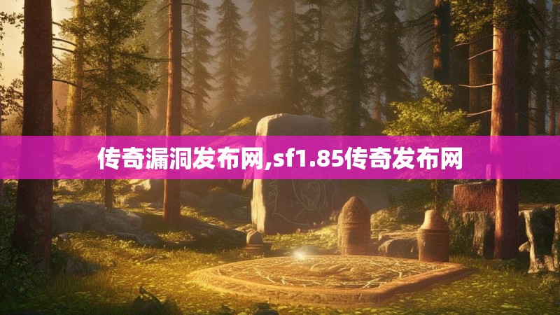 传奇漏洞发布网,sf1.85传奇发布网
