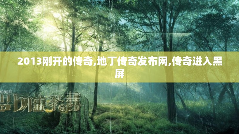 2013刚开的传奇,地丁传奇发布网,传奇进入黑屏