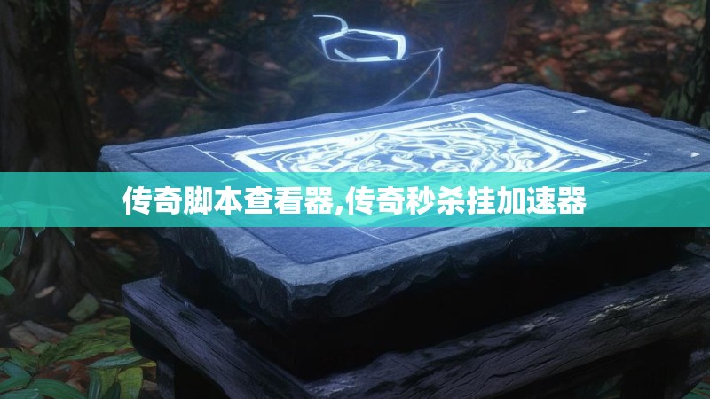 传奇脚本查看器,传奇秒杀挂加速器