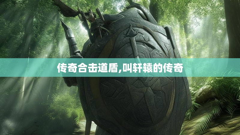 传奇合击道盾,叫轩辕的传奇