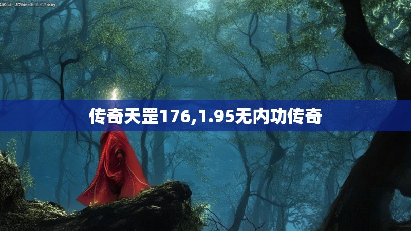 传奇天罡176,1.95无内功传奇
