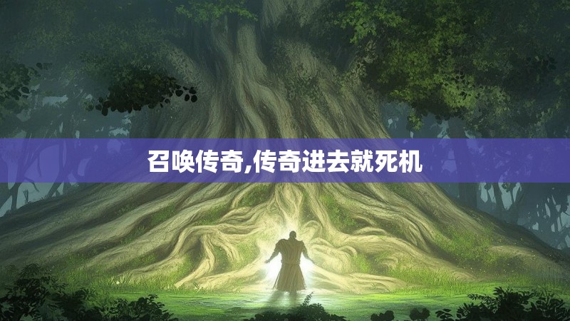 召唤传奇,传奇进去就死机