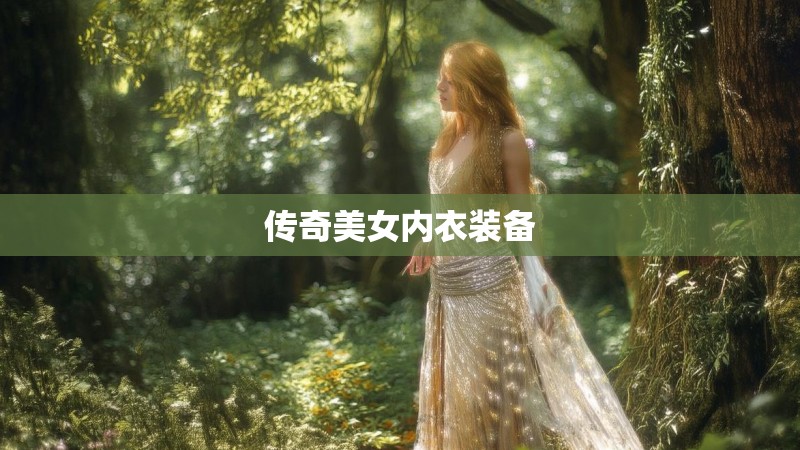 传奇美女内衣装备