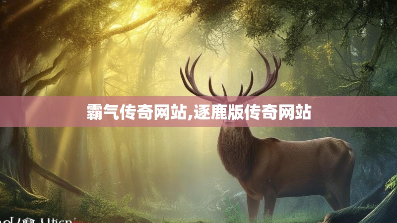 霸气传奇网站,逐鹿版传奇网站