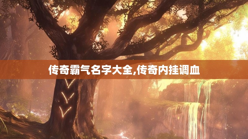 传奇霸气名字大全,传奇内挂调血