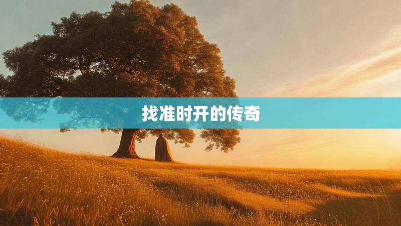 找准时开的传奇