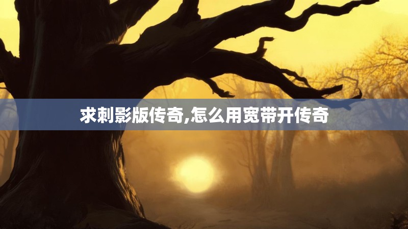 求刺影版传奇,怎么用宽带开传奇