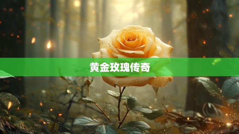 黄金玫瑰传奇