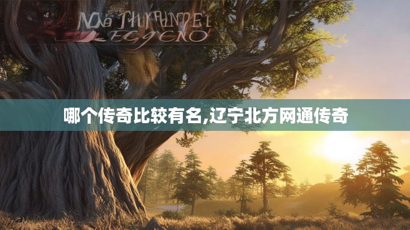 哪个传奇比较有名,辽宁北方网通传奇