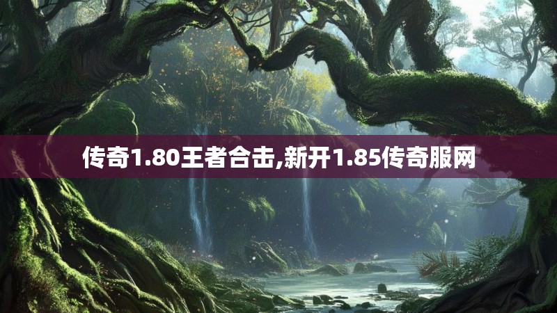 传奇1.80王者合击,新开1.85传奇服网