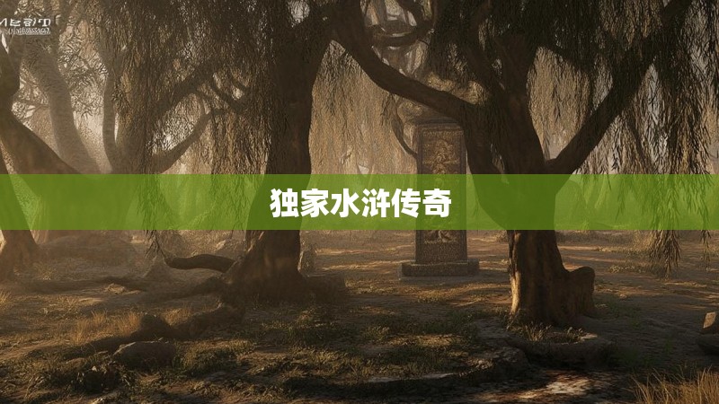 独家水浒传奇 独家水浒传奇