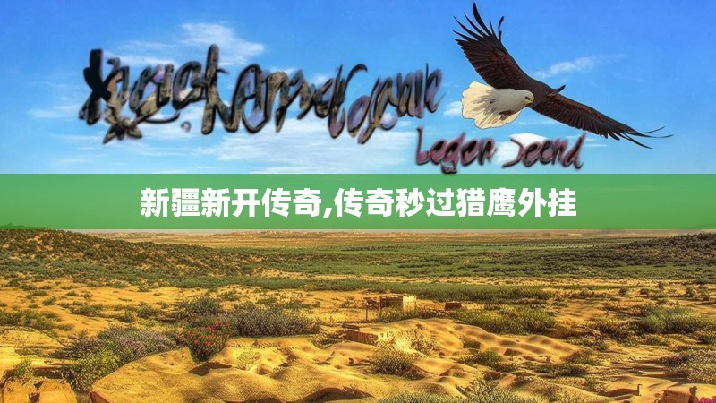 新疆新开传奇,传奇秒过猎鹰外挂
