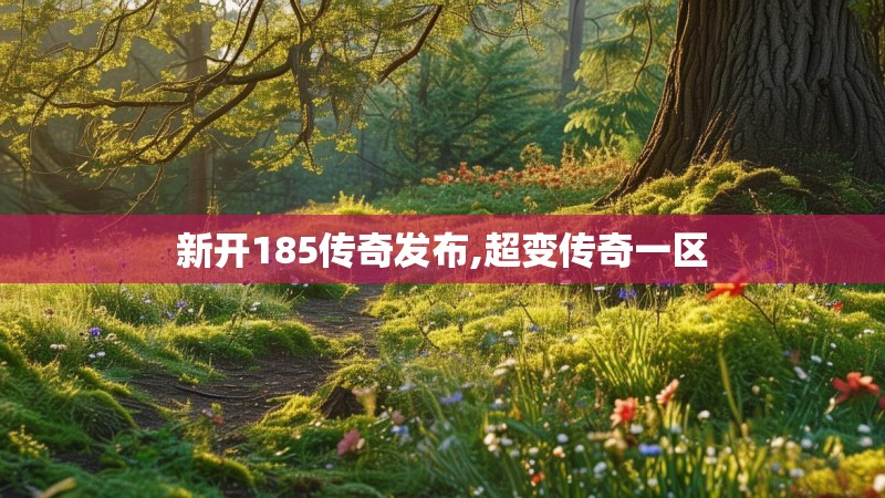 新开185传奇发布,超变传奇一区
