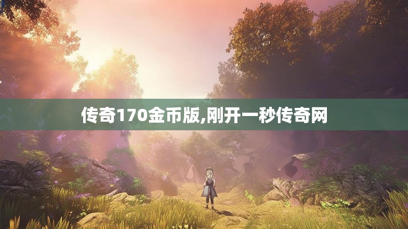 传奇170金币版,刚开一秒传奇网
