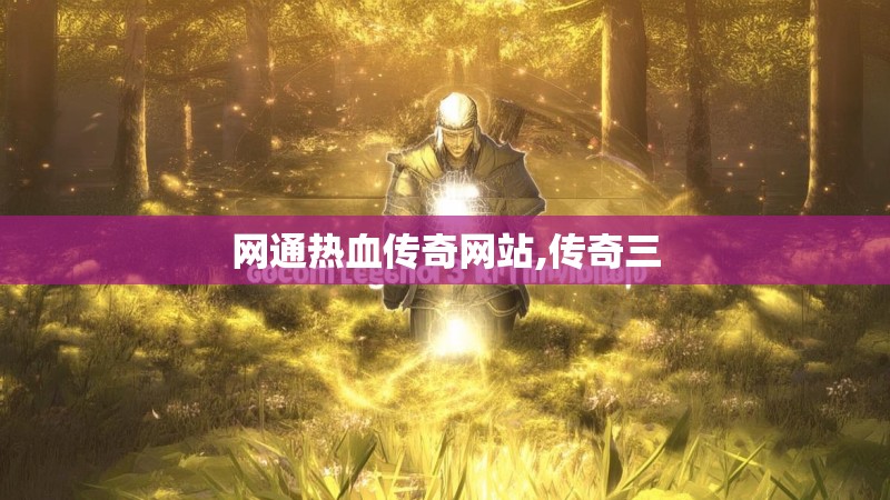 网通热血传奇网站,传奇三