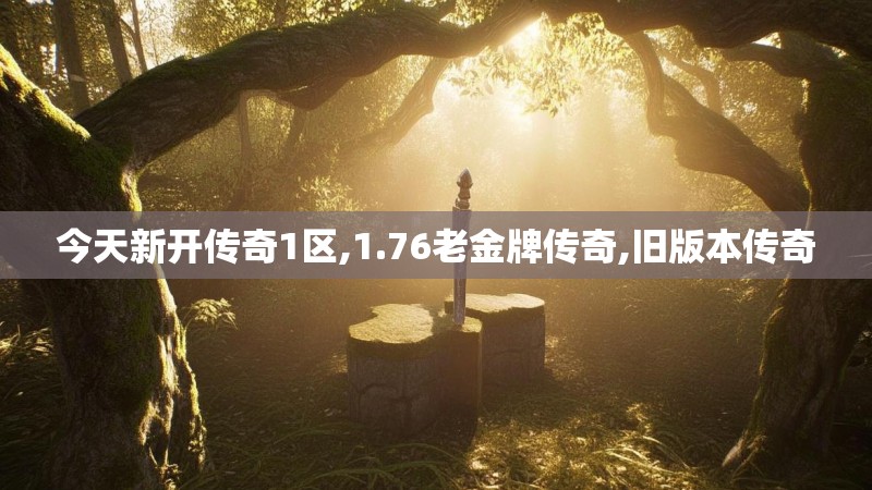 今天新开传奇1区,1.76老金牌传奇,旧版本传奇