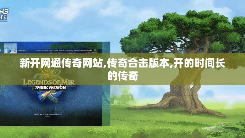 新开网通传奇网站,传奇合击版本,开的时间长的传奇