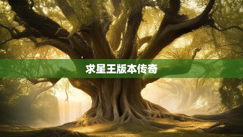 求星王版本传奇