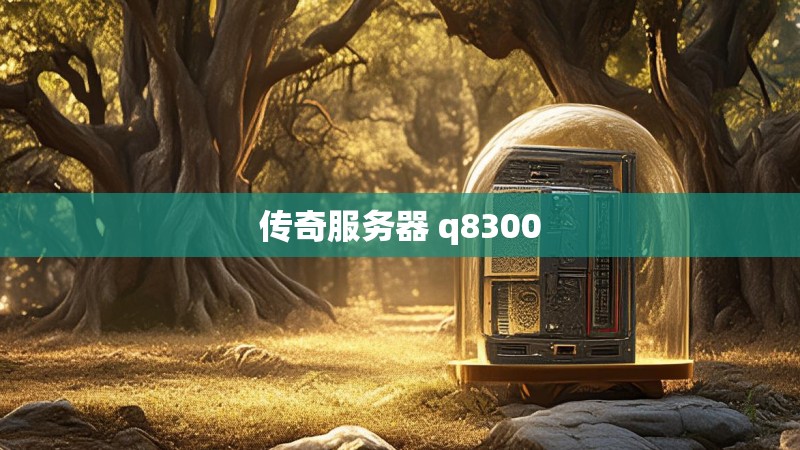 传奇服务器 q8300