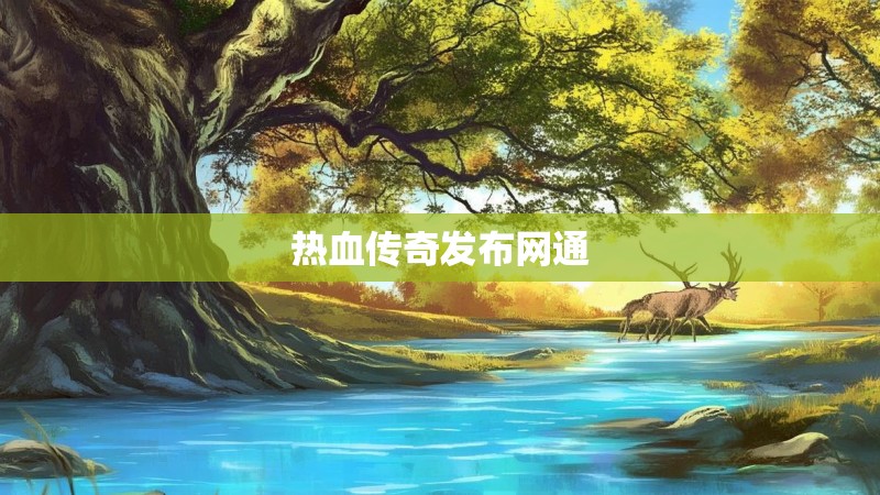 热血传奇发布网通