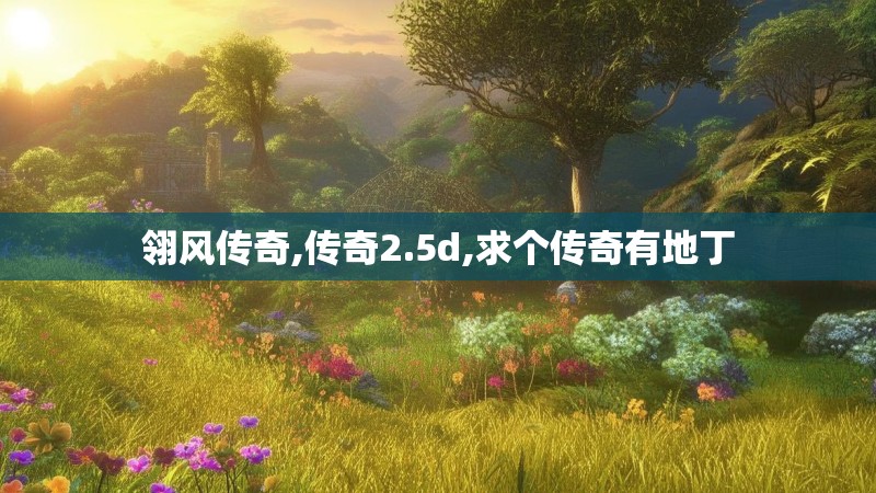 翎风传奇,传奇2.5d,求个传奇有地丁
