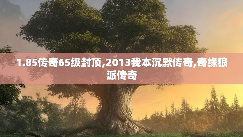 1.85传奇65级封顶,2013我本沉默传奇,奇缘狼派传奇