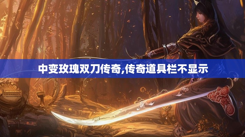 中变玫瑰双刀传奇,传奇道具栏不显示