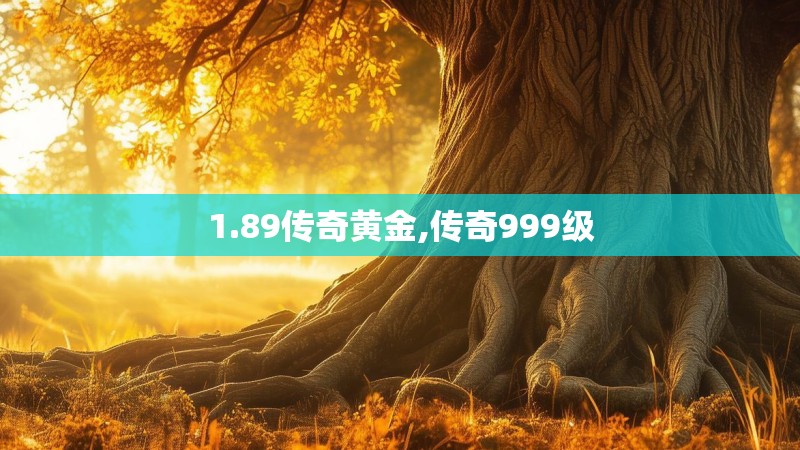 1.89传奇黄金,传奇999级