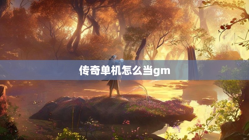 传奇单机怎么当gm