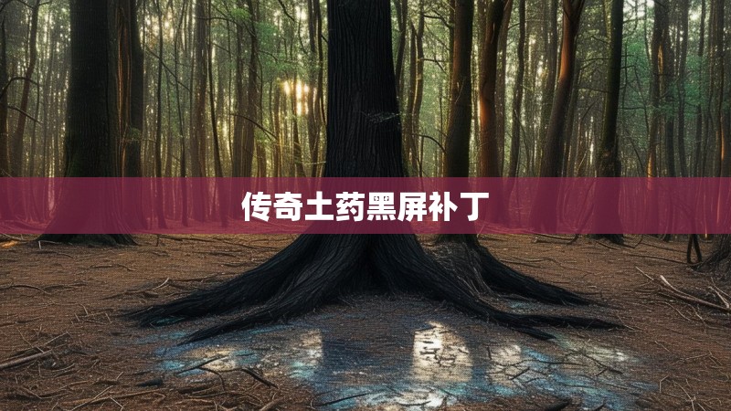 传奇土药黑屏补丁