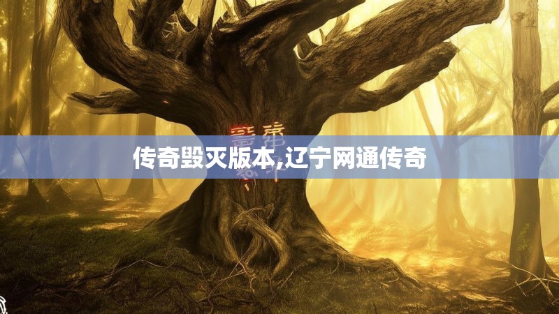 传奇毁灭版本,辽宁网通传奇