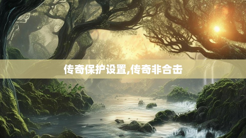 传奇保护设置,传奇非合击